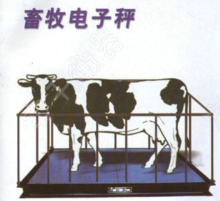 上海1噸動物電子秤廠家供應(yīng)