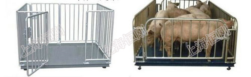 防水圍欄寵物動物秤，防腐防水動物電子稱